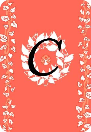 カード3
